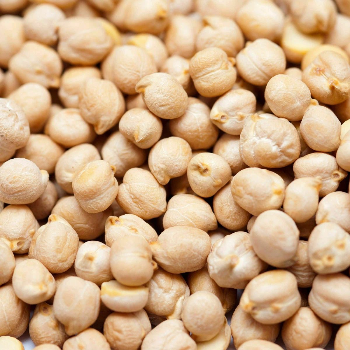 Dried Chick Peas