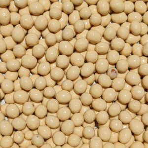 Yoghurt Peanuts